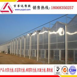 計算機圖文設計 數字化時代的創(chuàng)意表達與技術融合